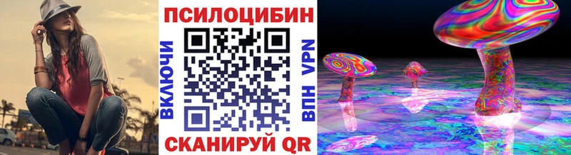 даркнет наркотические препараты  Суоярви  Псилоцибиновые грибы прущие грибы 